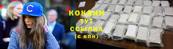 гидропоника Богданович