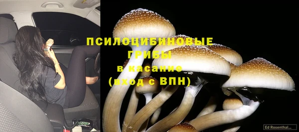 синтетический гашиш Богородск