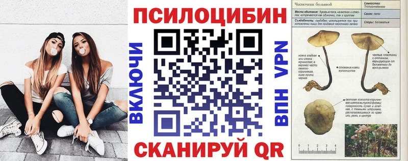 Псилоцибиновые грибы Magic Shrooms  магазин    Бородино 
